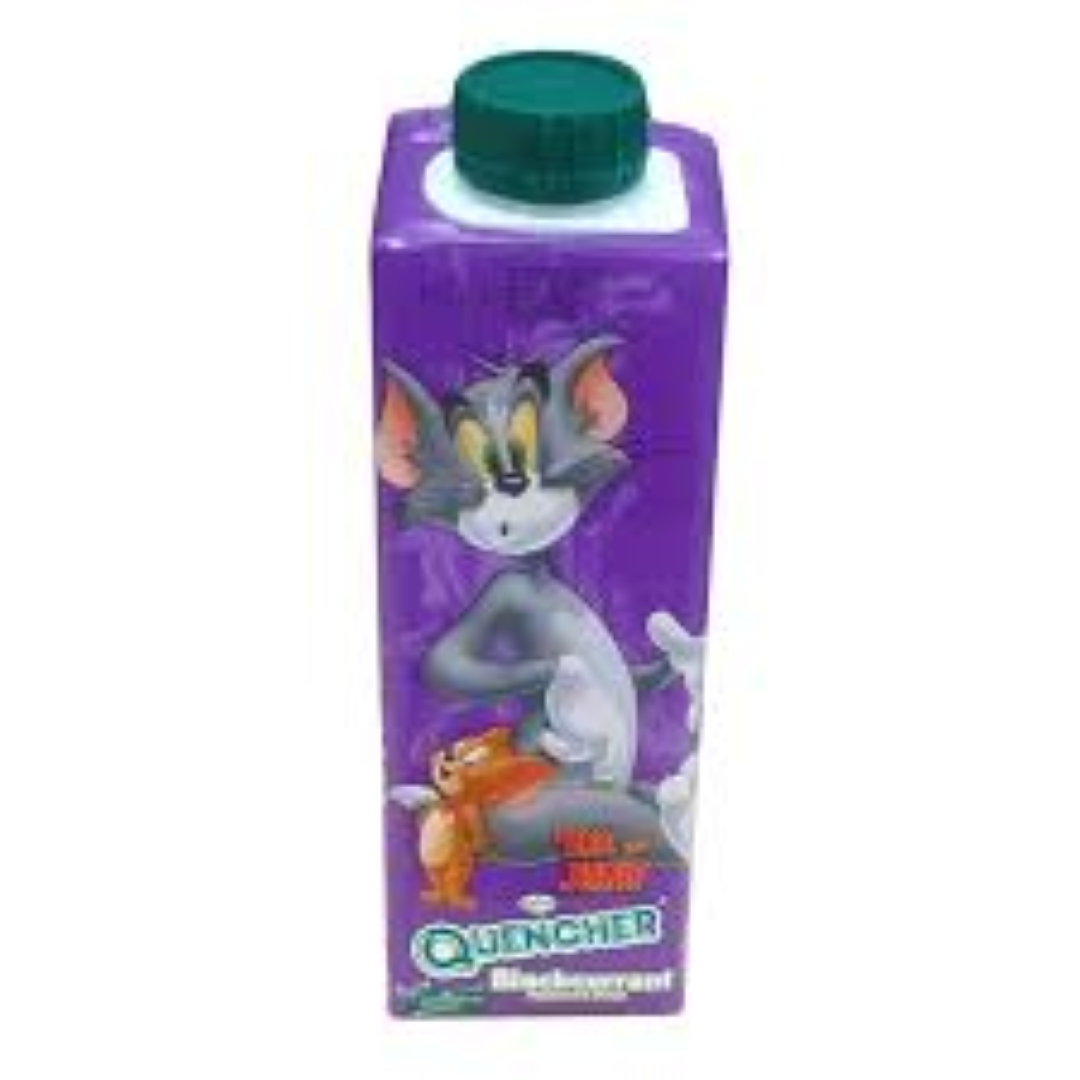QUENCHER RTD WARNER BROS BLACKCURRANT 250ML